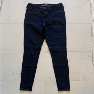 Universal Thread Dark Navy Skinny Jeans